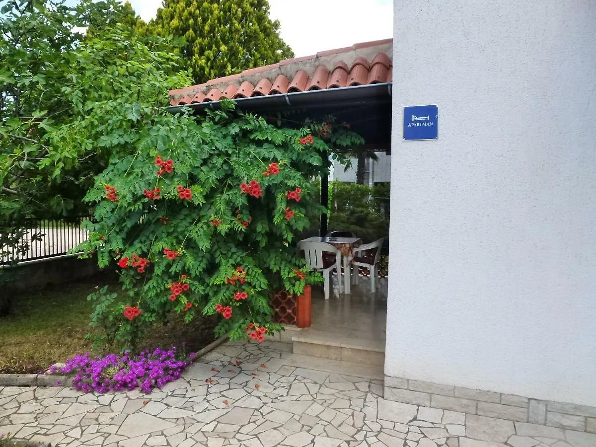 Apartmani Ostres Porec Croazia